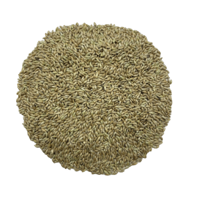 MASKA SELECT Nourriture Alpiste 8kg pour Oiseaux Sauvages