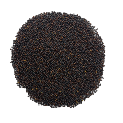 MASKA SELECT Nourriture Colza 8kg pour Oiseaux Sauvages