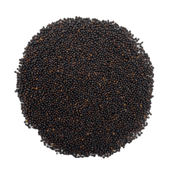 MASKA SELECT Nourriture Colza 8kg pour Oiseaux Sauvages
