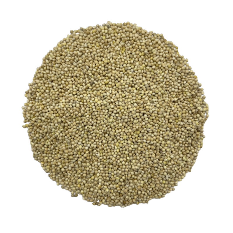MASKA SELECT Nourriture Millet Blanc 2kg pour Oiseaux Sauvages