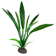 Fluval Betta - Plante Cryptocoryne de Wendt - Plante Artificielle pour Aquariums