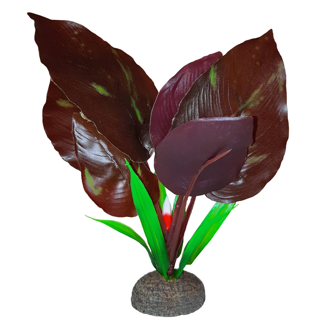 Fluval Betta - Plante Saurure Penchée - Plante Artificielle pour Aquariums