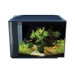 Voir l’image dans la galerie, Fluval Spec - Aquarium Équipé - Aquarium pour Poissons
