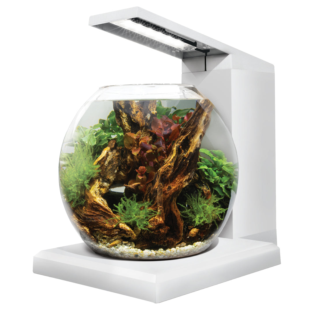Fluval Flex - Aquarium Équipé Liv Miniature - Aquarium pour Poissons