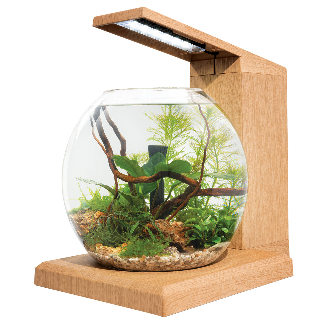 Fluval Flex - Aquarium Équipé Liv Miniature - Aquarium pour Poissons