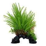 Voir l’image dans la galerie, Fluval Aqualife - Plante Lycopode Obscur - Plante Artificielle pour Aquariums