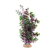 Fluval Aqualife - Plante Bacopa Rouge - Plante Artificielle pour Aquariums