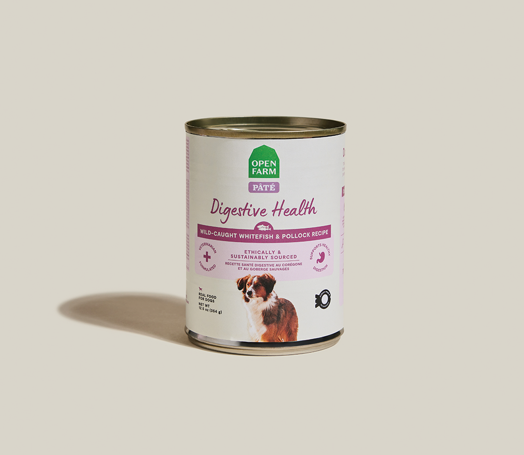 Open Farm - Santé Digestive - Pâté de Goberge et Avoine - Nourriture Humide pour Chiens