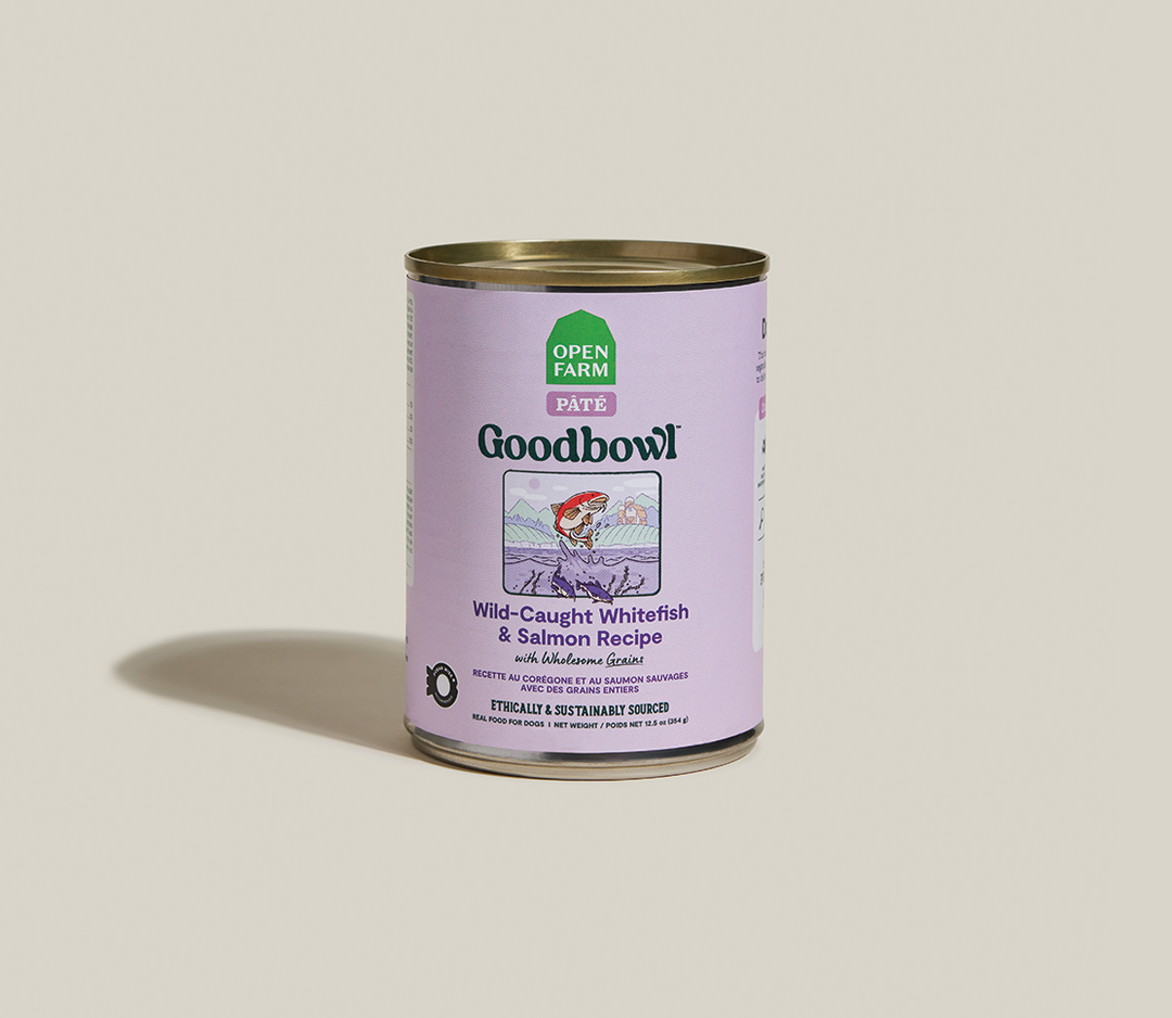 Open Farm GoodBowl - Pâté Poisson Sauvage et Saumon - Nourriture Humide avec Grains Entiers pour Chiens