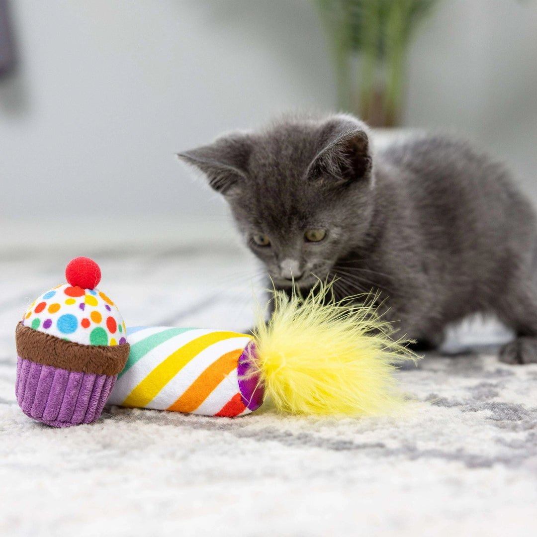 Kittybelles - Petit Cupcake et Chandelle avec Herbe à Chat - Jouet en Peluche Froissé pour Chats