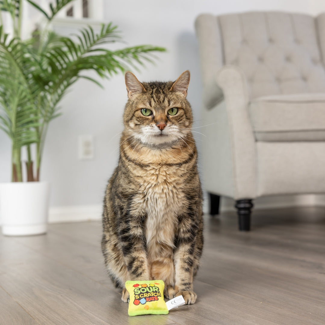Kittybelles - Sour Scrath Kats avec Herbe à Chat - Jouet en Peluche Froissé pour Chats