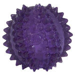 Voir l’image dans la galerie, JW Pet - Balle Cactus Bristl-ee - Jouet Interactif pour Chiots