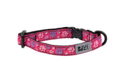 RCP Chat Collier Sécuritaire 8-10