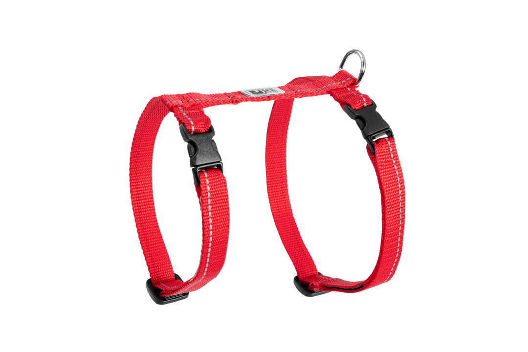 RCP Chat Harnais Base M 12-18" Rouge