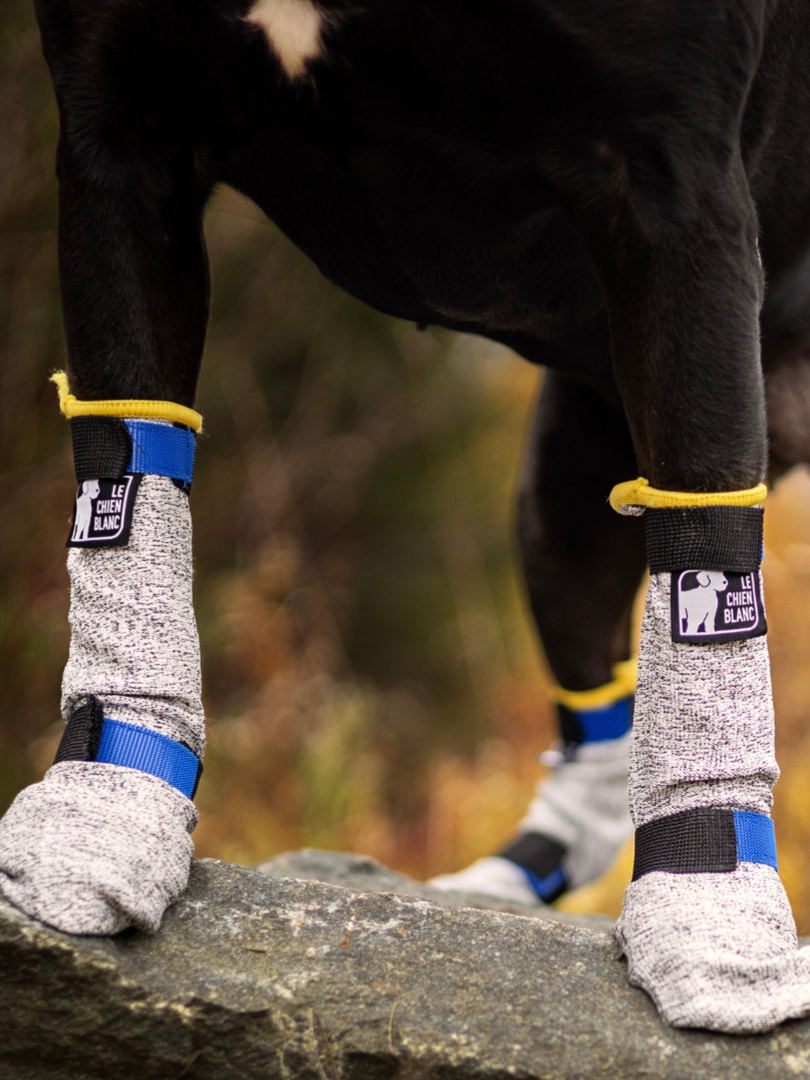CHIEN BLANC Botte Longue Gris S