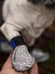 CHIEN BLANC Botte Courte Gris S