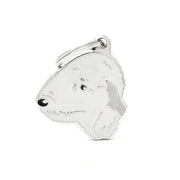 MFC Friends Terrier de Bedlington