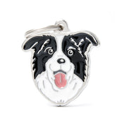 MFC Friends Border Collie