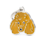Voir l’image dans la galerie, My Family - Friends Caniche Abricot - Médaille d'Identité pour Chiens