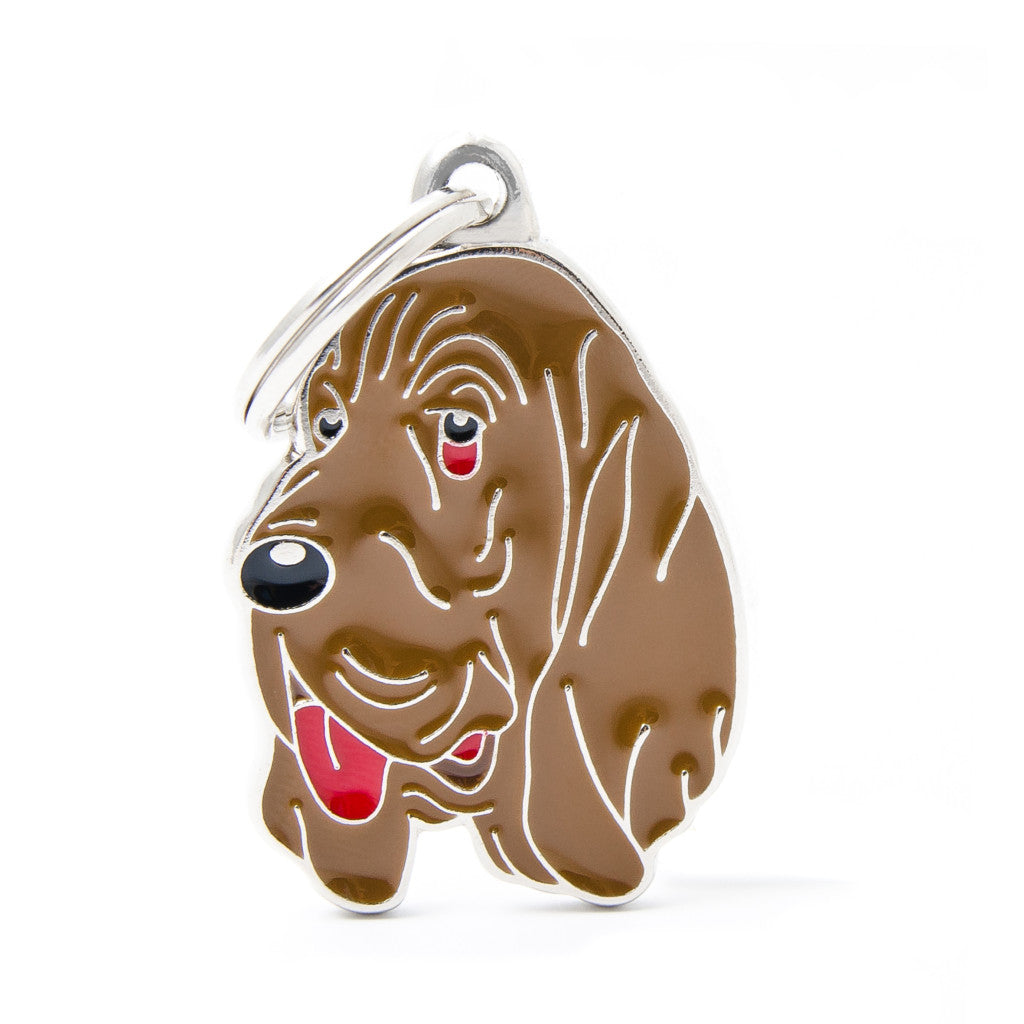 MFC Friends Chien de Saint-Hubert