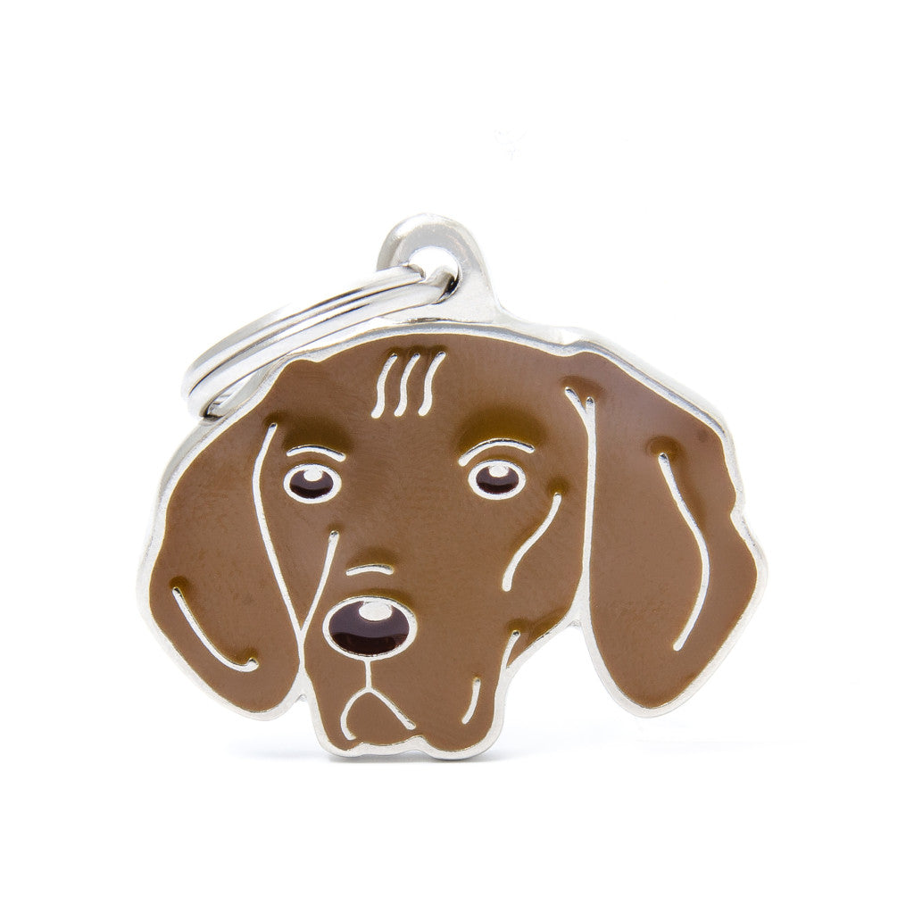 MFC Friends Vizsla
