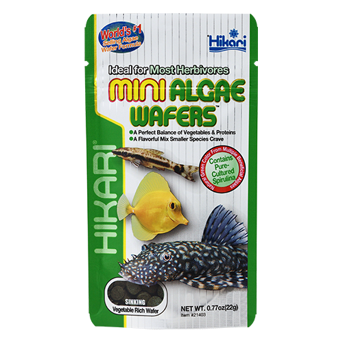 HIKARI Nourriture Mini Algae Wafers 0.77oz
