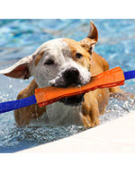 Voir l’image dans la galerie, Nerf Dog - Jouet Megaton Bâton Competition pour Chiens