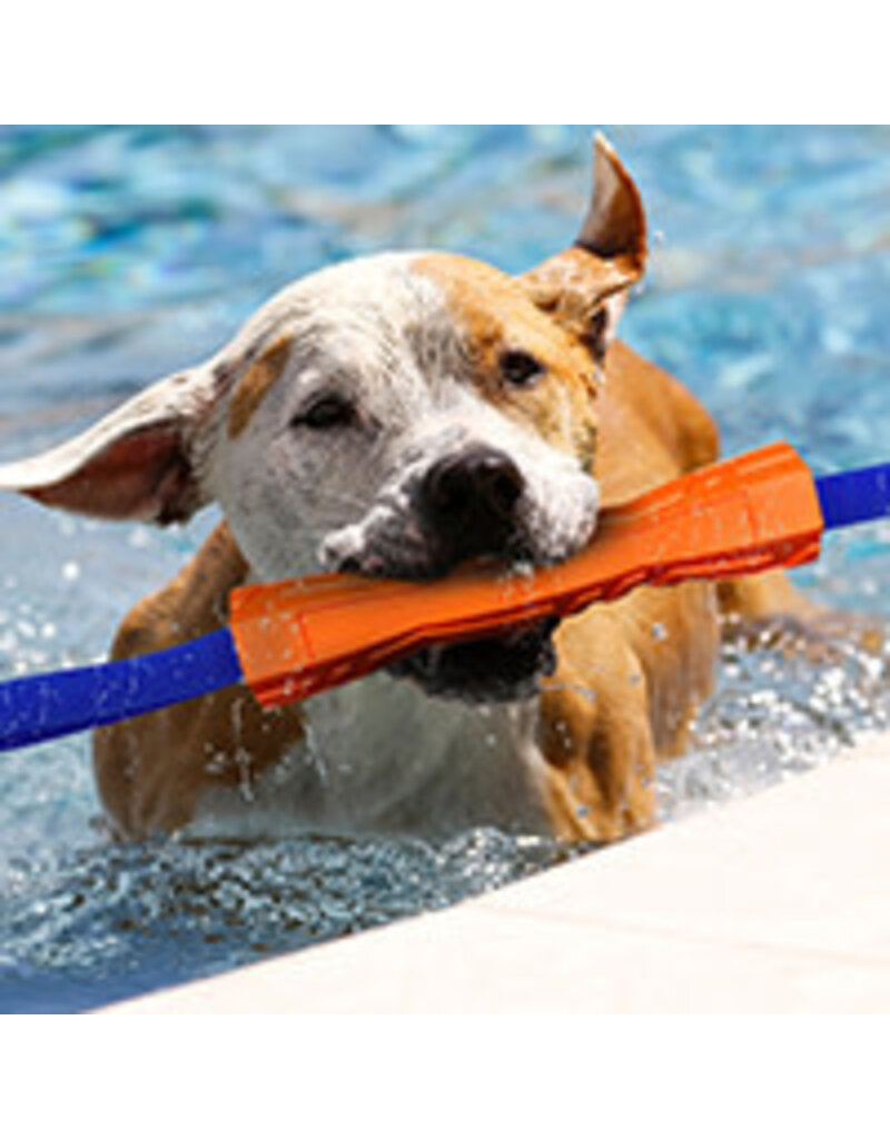 Nerf Dog - Jouet Megaton Bâton Competition pour Chiens