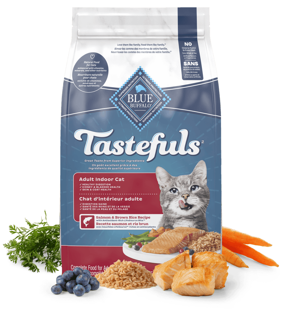 Blue Life Protection Tastefuls - Chat d'Intérieur Adulte Saumon et Riz Brun - Nourriture Sèche pour Chats