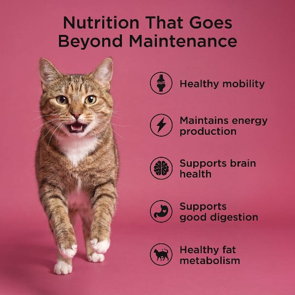 Petcurean Go! Solutions - Chat Vieillir En Santé Saumon et Canard - Nourriture Sèche pour Chats