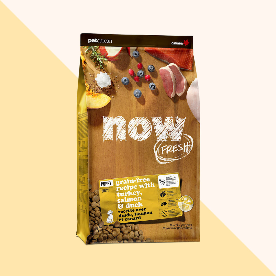 Petcurean Now Fresh - Dinde, Saumon et Canard - Nourriture Sèche Sans Grains pour Chiots
