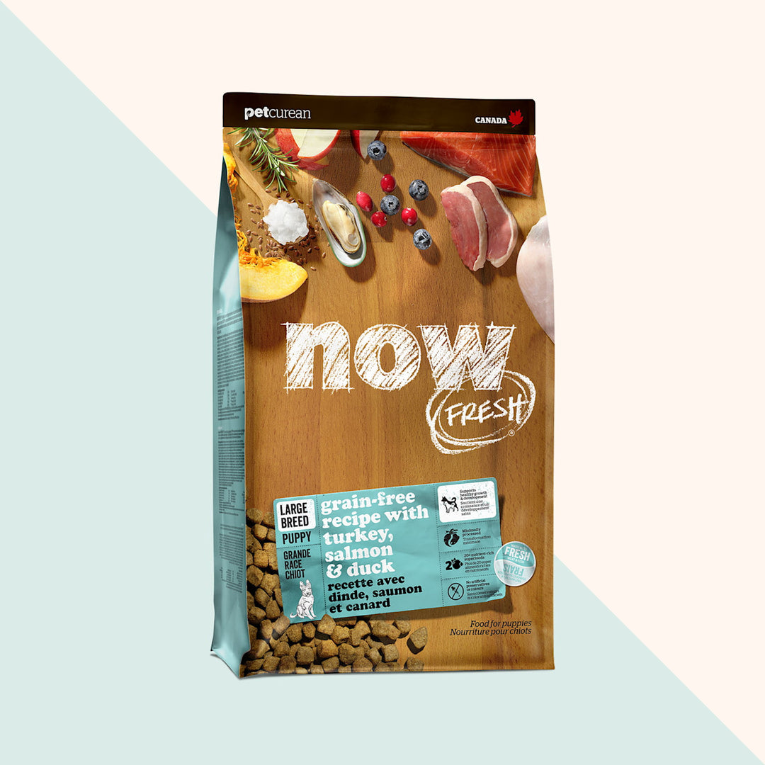 Petcurean Now Fresh - Dinde, Saumon et Canard - Nourriture Sèche Sans Grains pour Chiots de Grandes Races