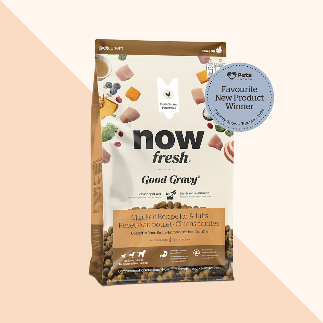 Petcurean Now Fresh Good Gravy - Poulet Élevé Sans Cage - Nourriture Sèche avec Grains Anciens pour Chiens