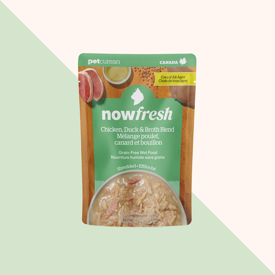 Petcurean Now Fresh - Poulet et Canard Effiloché avec Bouillon - Nourriture Humide Sans Grains pour Chats en Sachet