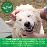 Voir l’image dans la galerie, Greenies Menthe - Régulier - Gâteries Dentaires pour Chiens