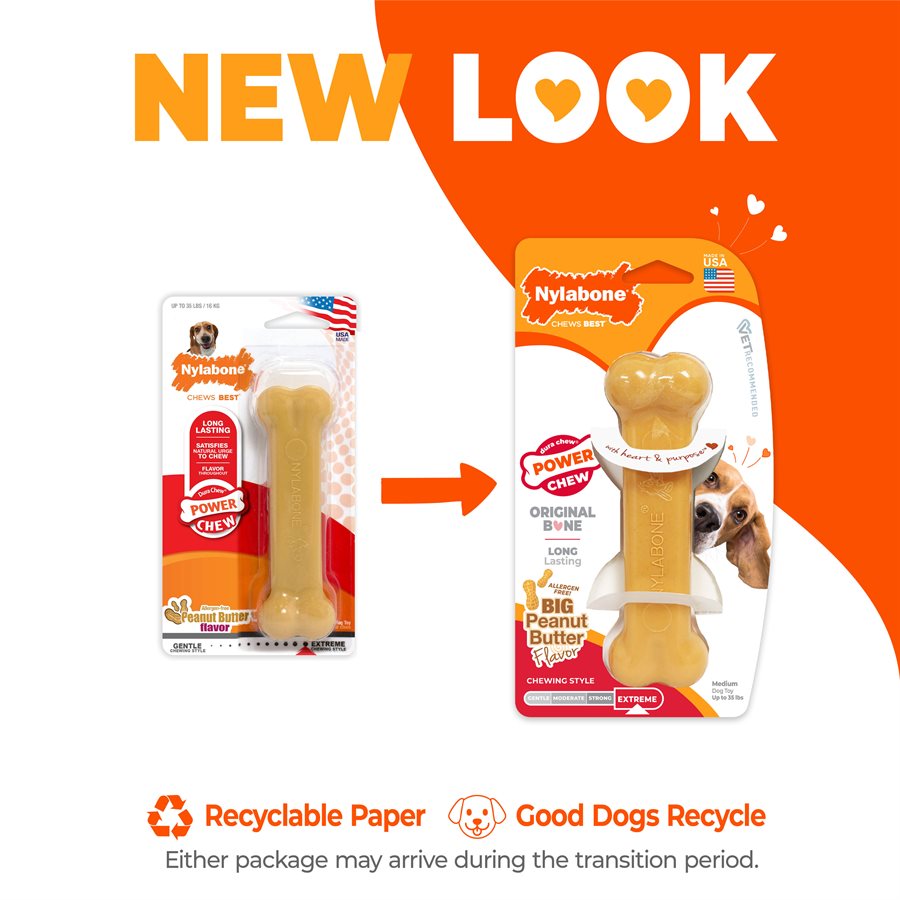 Nylabone - Os Durable Saveur de Beurre d'Arachide - Jouet à Mâcher pour Chiens