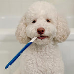 Voir l’image dans la galerie, Nylabone - Trousse de Soins Bucco-Dentaires Avancés - Soin pour Chiens