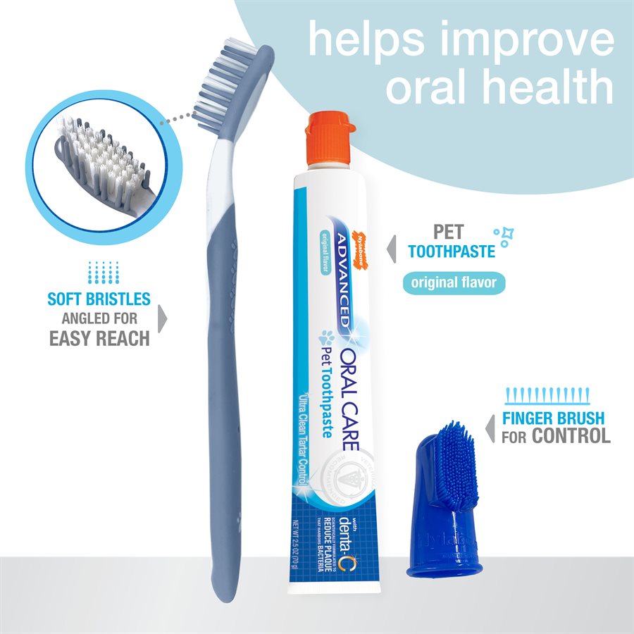 Nylabone - Trousse de Soins Bucco-Dentaires Avancés - Soin pour Chiens