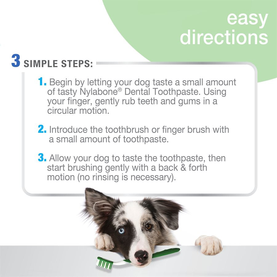 Nylabone - Trousse de Soins Bucco-Dentaires Avancés Naturelle - Soin pour Chiens