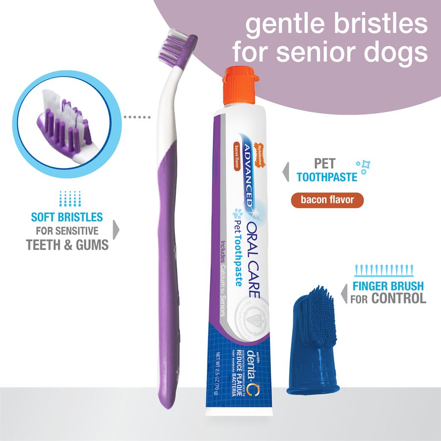 Nylabone - Trousse de Soins Bucco-Dentaires Avancés pour Chiens Âgés de Petite Race - Soin pour Chiens