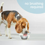 Voir l’image dans la galerie, Nylabone - Liquide Enlève-Plaque - Additif pour l'Eau pour Chiens