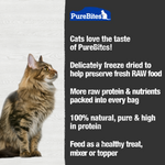 Voir l’image dans la galerie, PureBites - Mélange de l'Océan - Gâteries ou Garnitures Lyophilisées pour Chats