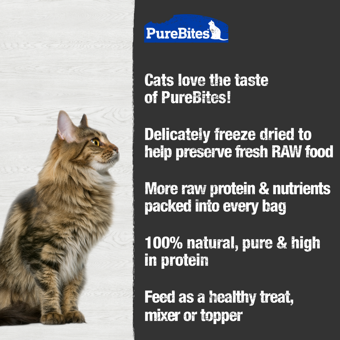PureBites - Mélange de l'Océan - Gâteries ou Garnitures Lyophilisées pour Chats