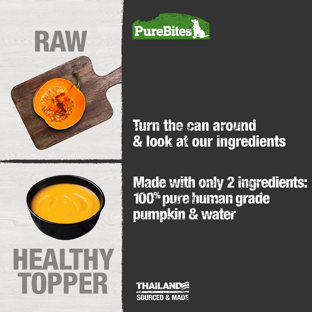 Purebites - Pâté 100% Pur Citrouille et Eau - Nourriture Humide pour Chiens