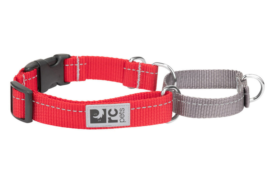 RC Pets - Collier de Dressage en Sangle de Base Rouge - Collier de Dressage pour Chiens