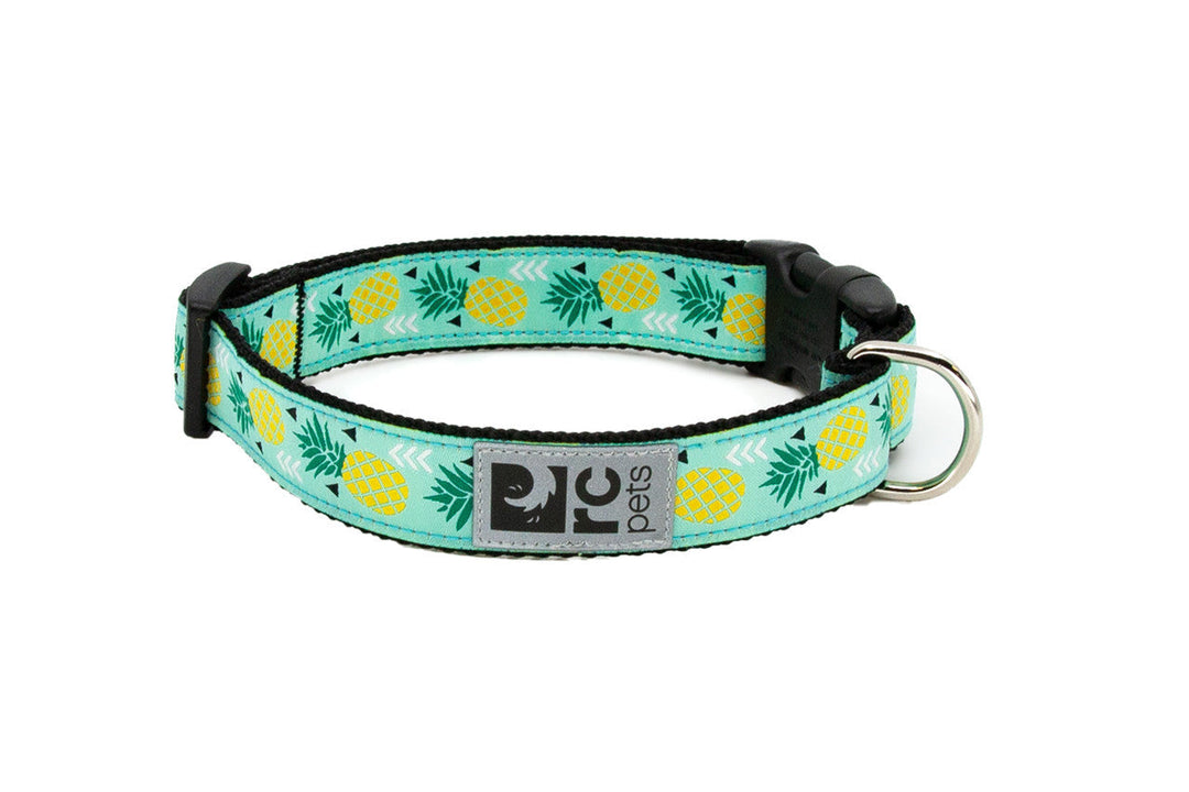 RC Pets - Collier à Motifs Parade d'Ananas - Collier pour Chiens
