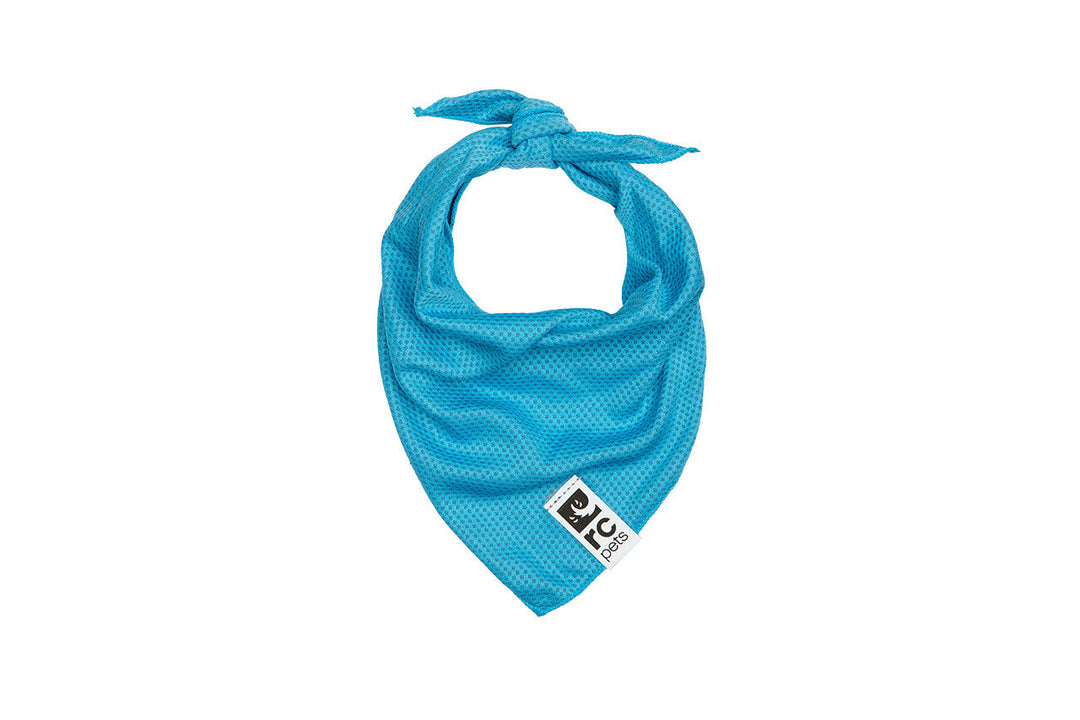 RC Pets - Bandana Rafraîchissant Zephyr Aqua - Bandana pour Chiens