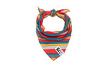 Voir l’image dans la galerie, RC Pets - Bandana Rafraîchissant Zephyr Multi-Rayures - Bandana pour Chiens