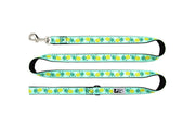 RCP Laisse Motif 1x72