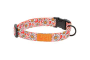RCP Collier Éco Motifs XS-S 1/2 Joie de Marguerite